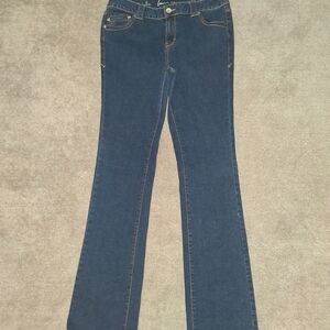 Lane Bryant Dark Blue Flare Jeans
